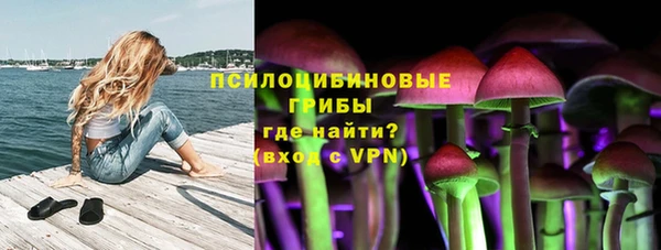 СК Лиски