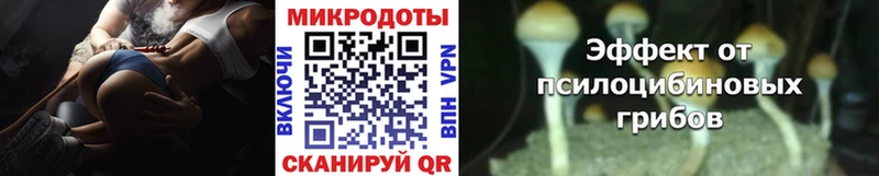 Псилоцибиновые грибы прущие грибы  Могоча 
